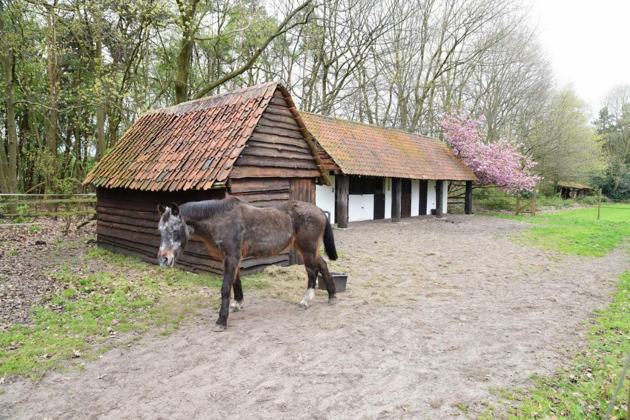 B&B Domein Rodin Oud-Turnhout Екстериор снимка