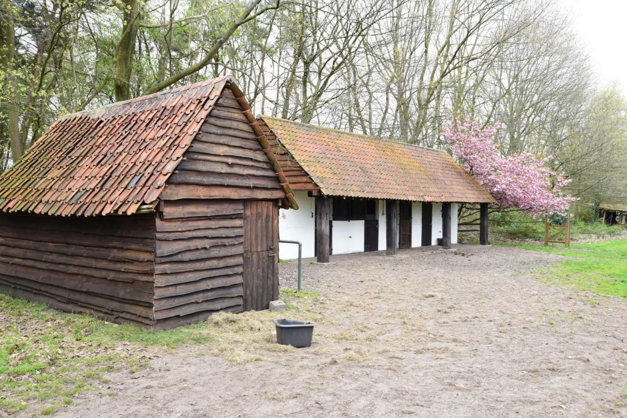 B&B Domein Rodin Oud-Turnhout Екстериор снимка